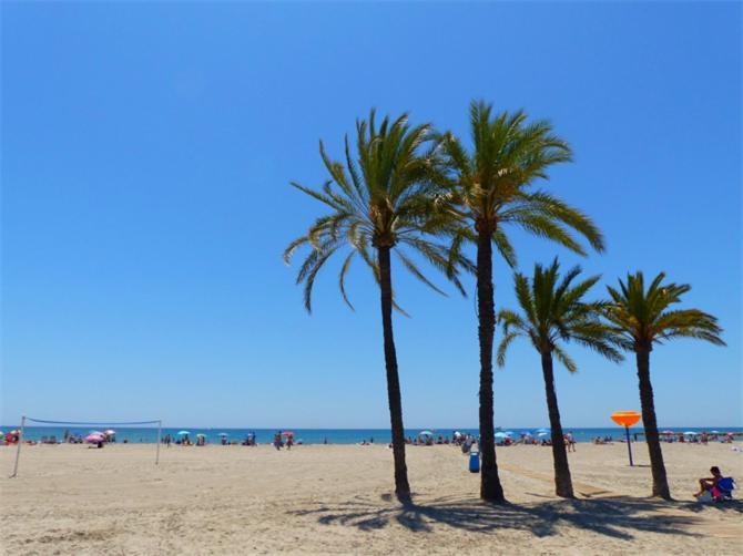 Apartamento En El Centro De Elche Con Terraza La Alborada 외부 사진