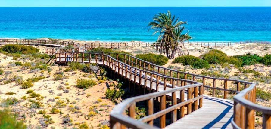 Apartamento En El Centro De Elche Con Terraza La Alborada 외부 사진