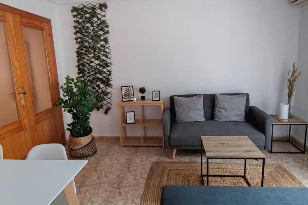 Apartamento En El Centro De Elche Con Terraza La Alborada 외부 사진