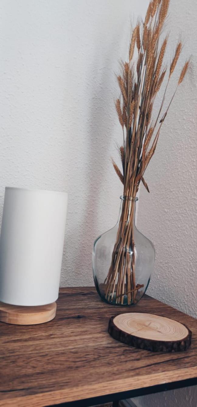 Apartamento En El Centro De Elche Con Terraza La Alborada 외부 사진