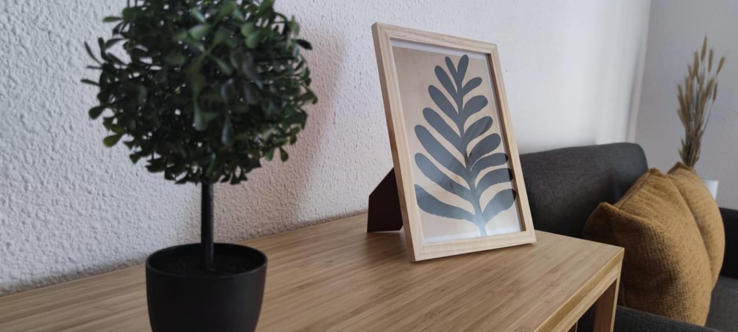 Apartamento En El Centro De Elche Con Terraza La Alborada 외부 사진